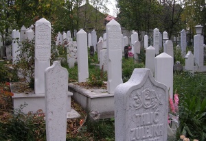 Victims of the Sarajevo siege - a daily reminder of conflict during my years of work in Bosnia
